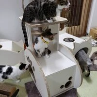 画像1478：某展示会施工例