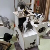 画像1479：某展示会施工例