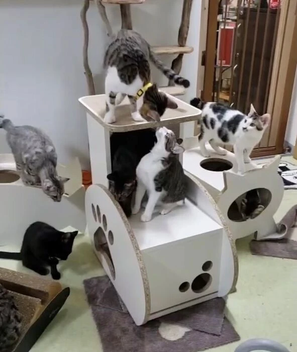 画像1479：某展示会施工例