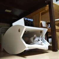 画像1540：某展示会施工例