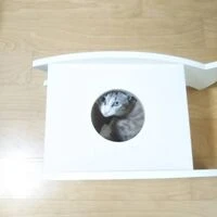 画像1541：某展示会施工例